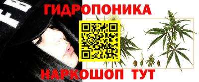 эйфоретик Туймазы