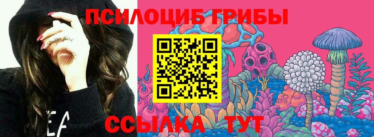 Псилоцибиновые грибы Cubensis Миллерово