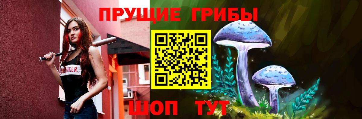 Галлюциногенные грибы Cubensis  Вход с VPN  Миллерово  Галлюциногенные грибы GOLDEN TEACHER 